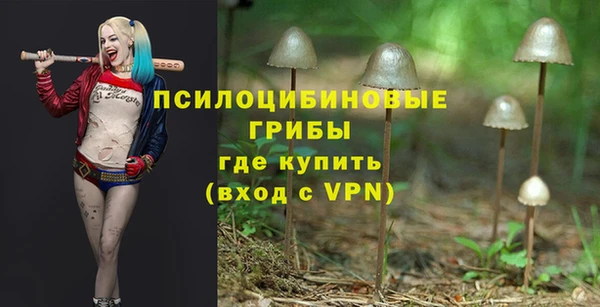 прущие крисы Заводоуковск
