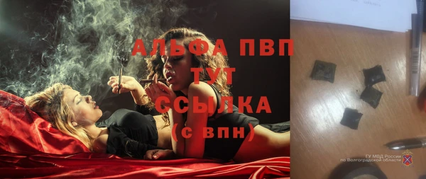гашик Заволжье