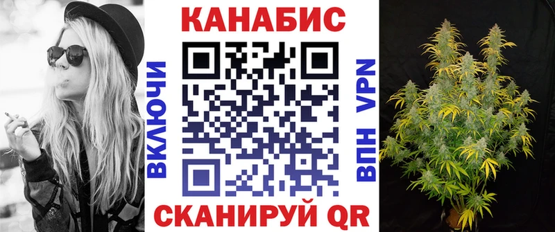 Бошки марихуана THC 21%  как найти   Светлогорск 